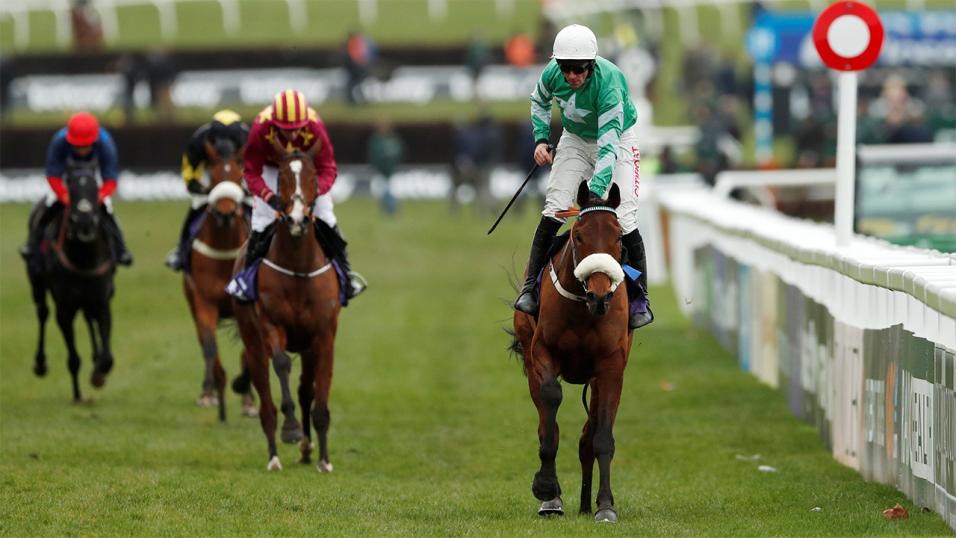 Nine of the best AntePost bets with Cheltenham only eight weeks away SportsJOE.ie